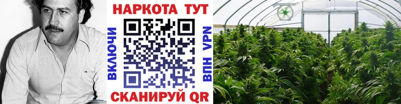 Купить Касимов COCAIN  A PVP  АМФЕТАМИН  MEGA ТОР  ГАШ 