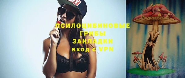 дживик Арсеньев