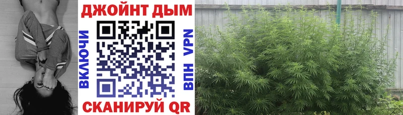 купить наркоту  Касимов  Шишки марихуана индика 